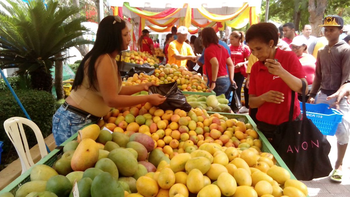 Mercedes Castillo anuncia Tour Turístico Cultural a la Expo Mango Bani